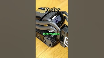 Can Vector answer questions? #vector #vectorrobot #robot #ai #shorts #viral #video #trending #usa