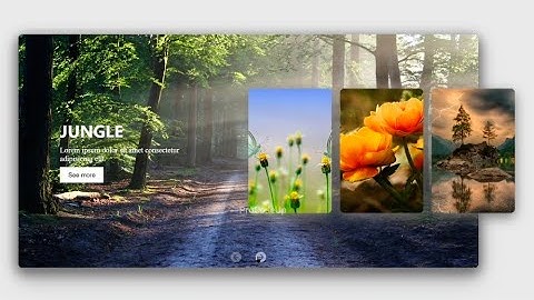 How to create an image slider html css and JavaScript Step by Step | ProCodeUp