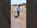 مواطن سوداني يشكو من سوء طريق بورتسودان Explore سعودية مصر Beautiful Nature Bhojpuri Viral 