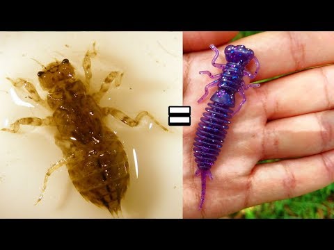 Fishing With DragonFly Larva?!? 