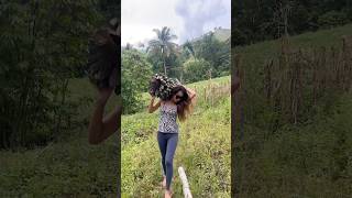 Province Girl 😂 #shorts #shortvideo