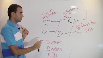 Quantas cidades tem o estado de Pernambuco?