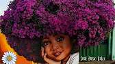 Soul Music Relax