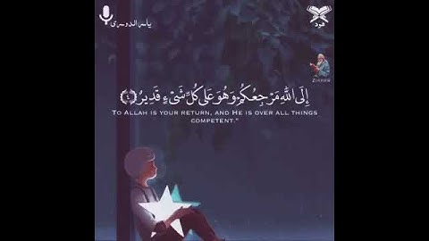 مقاطع قرآن قصيرة تلاوة بصوت جميل أرح سمعك🎧حالات واتس آب إسلامية