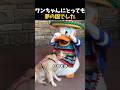 【感動】この日は少しだけ、ただのワンちゃんに