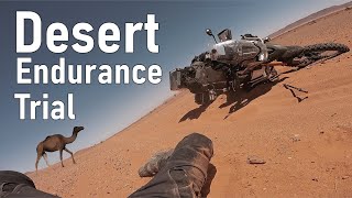 Alone Against the Desert: Here Every Mistake Has Its Price | Moroccan Sahara [EP.10]