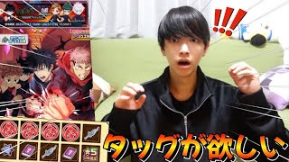 【白猫】虎杖･伏黒のタッグ欲しさに課金で追いガチャしたらまさかの結果に……！！！？