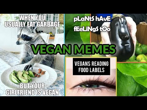 vegan-memes-reaction