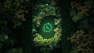WhatsApp new feature #love #whatsappstatus #whatsapp