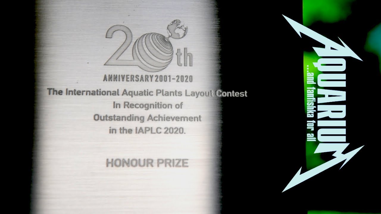 Лучший аквариум от ФанФишки ❤️ с любовью!