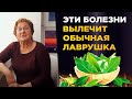 17 болезней которые вылечит обычная лаврушка