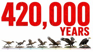 Información Evolution of BLAD EAGLE | From egg to endless flights  Actualización