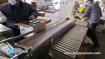 2, 4D production video