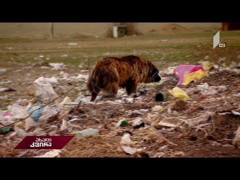 #ახალიკვირა სტიქიური ნაგავსაყრელები