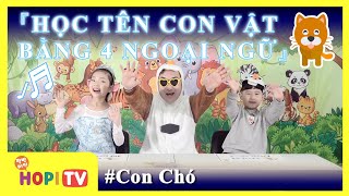 [ PALBANGMIIN HOPI TV ] HỌC NGOẠI NGỮ HIỆU QUẢ BẰNG TÊN CON VẬT  CON CHÓ  