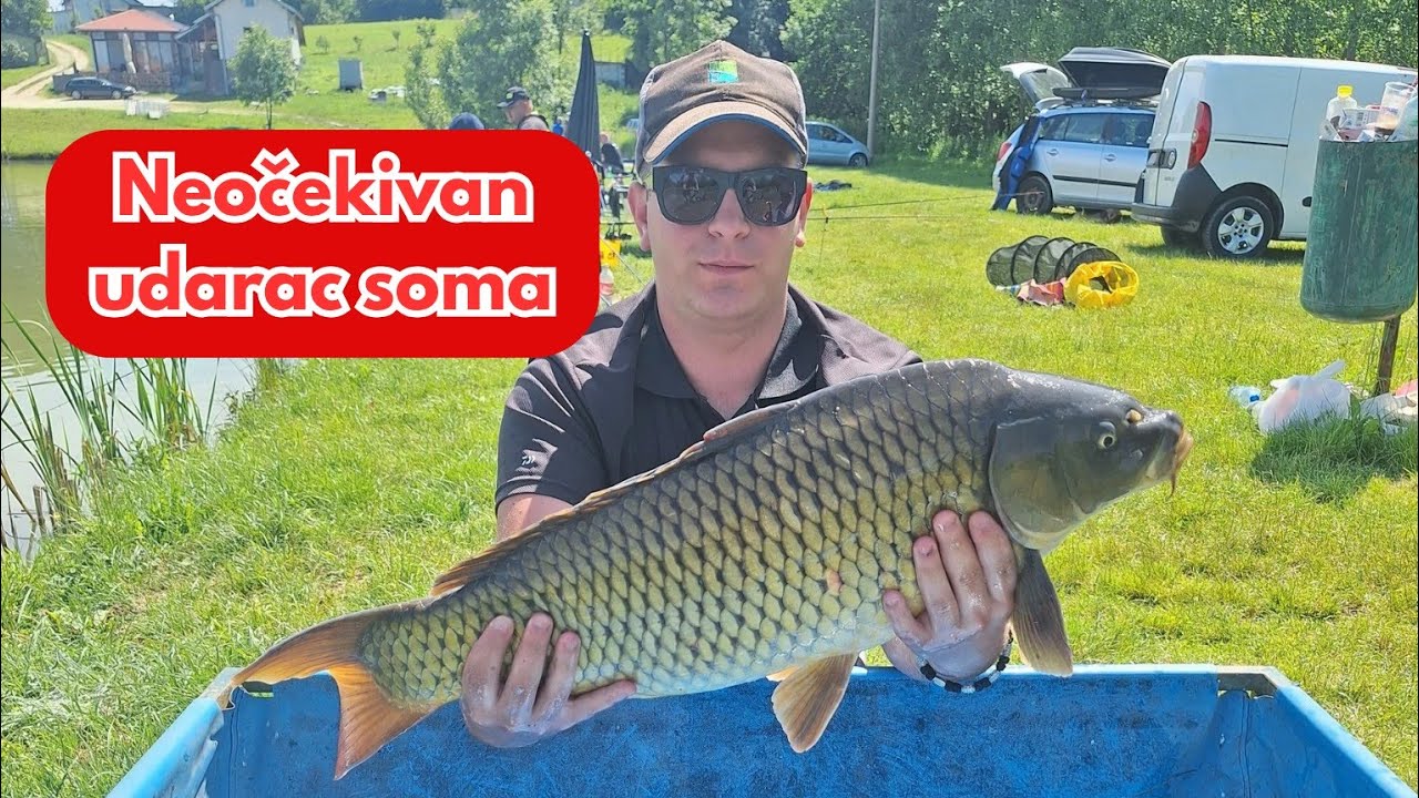 Pecanje šarana - Method feeder takmičenje/jezero peca