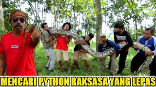 Rambo Si Python Monster Kabur Mbah Wanto Panik 