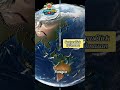 Before Continents Existed There Was Pangea #Pangea #Supercontinent #EarthHistory #ContinentalDrift
