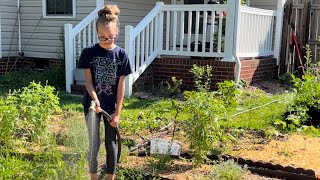 Planting beans and enjoying the garden together by Gardens and Grace 104 views 7 months ago 22 minutes