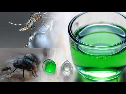 Video: Cum Să Scapi De țânțari și Mușchi în țară