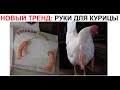 Лютые приколы. Новый тренд - руки для курицы