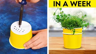 Gardening Hacks: Effective Tips and Tricks for Lush Garden ‍