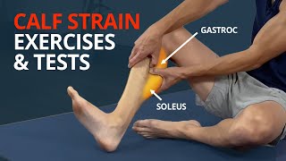 Calf Strain Rehab Exercises and Tests (Gastrocnemius or Soleus?)