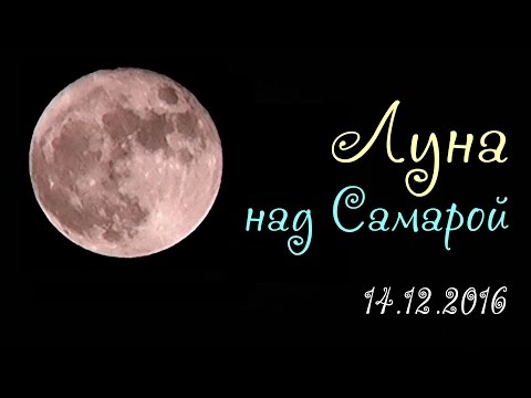 В фокусе (Zoom, 2016)
