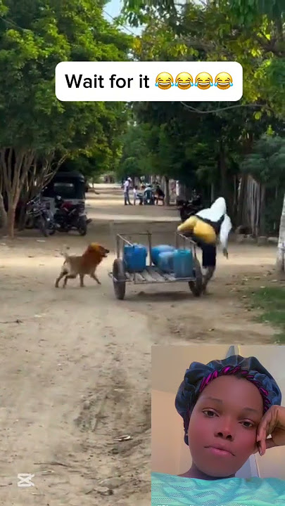 Oh no 😬 🤣🤣🤣🤣🤣🤣