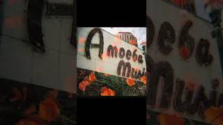 Double Exposed Film Photos on My Diana F  Camera - San Francisco #filmphotography #lomography