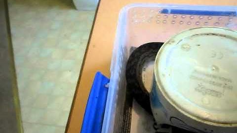 Scrub Python feeding