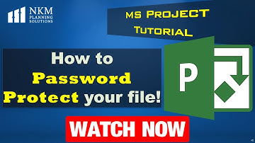 How to password protect and save the MS project file.