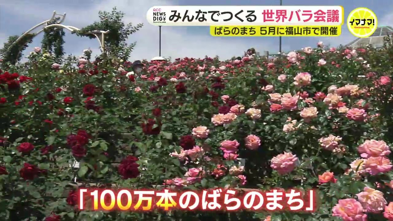 みんなでつくる「世界バラ会議」ばらのまち・福山市で５月に開催