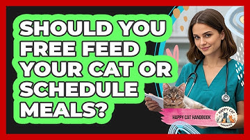 Should You Free Feed Your Cat Or Schedule Meals? - Happy Cat Handbook