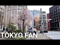 【4K】Rainy Walking in Tokyo Japan Nihonbashi (Apr. 2022) | Cherry blossoms are scattered  Nihonbashi