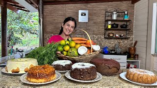 Festival de Bolos vários sabores feitos com produtos do sítio