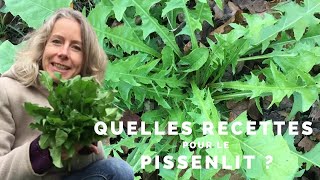 Quelles recettes pour le pissenlit ?