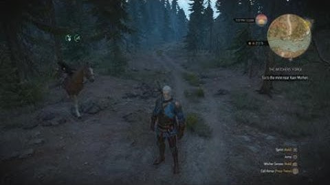 Roach wtf!? Horse glitch (The Witcher 3: Wild Hunt)
