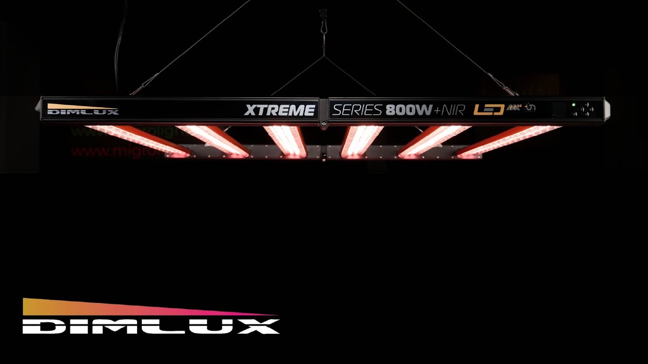 Dimlux Xtreme Mk II 800W NIR grow light review