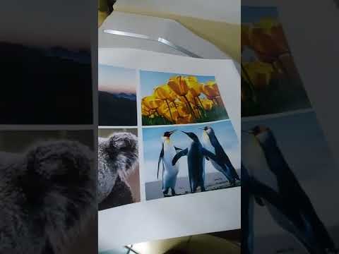 Print Tes Page HP Color LaserJet Enterprise M750 Order 085748659586 Print Tes Page HP Color LaserJet Enterprise M750 Order 085748659586