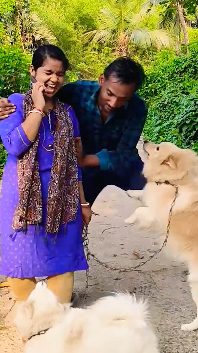 happy my gulu i love 💓 bake to my life #milibabblu #funny #odishabulabuli #multigrainbread