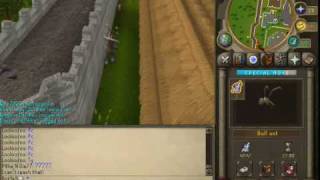 Training Summoning Fast - For the low level Summoner [RS]