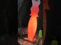 aging technique using banana stems as a medium #blacksmith #satisfying #asmr