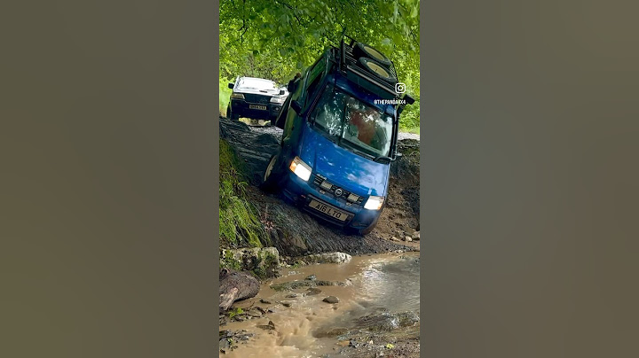 This was a close call for Pedro The Panda !
