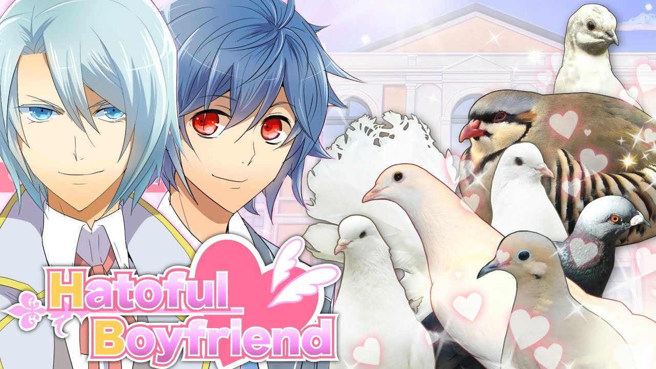 Hatoful boyfriend. Симулятор свиданий с голубями. Hatoful boyfriend гайд. Hatoful boyfriend Gameplay. Hatoful boyfriend Plush.