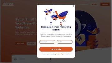 How to Use the New MailPoet Form Editor