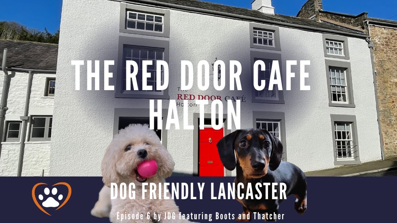 Dog Friendly Lancaster. The Red Door Cafe Halton YouTube