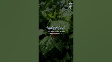 (الله يبسط الرزق لمن يشاء ويقدر) حالات واتس اب قرآن كريم بصوت القارئ اسلام صبحي/حالات واتس اب دينيه