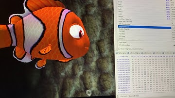 Finding Nemo: playing with *.ani