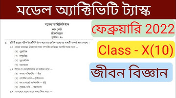 Class 10 Life Science Model Activity Task February 2022/Model activity task class 10 LSc February 22